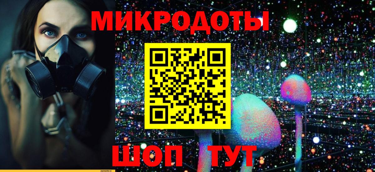 Галлюциногенные грибы MAGIC MUSHROOMS  Вход с VPN  Нижнекамск 
