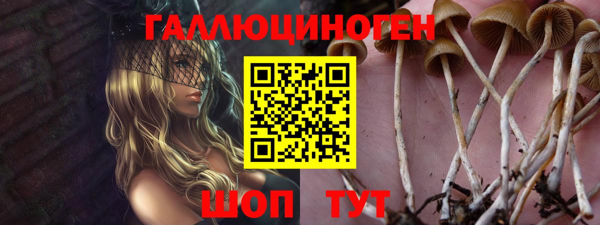 Галлюциногенные грибы ЛСД Нижнекамск
