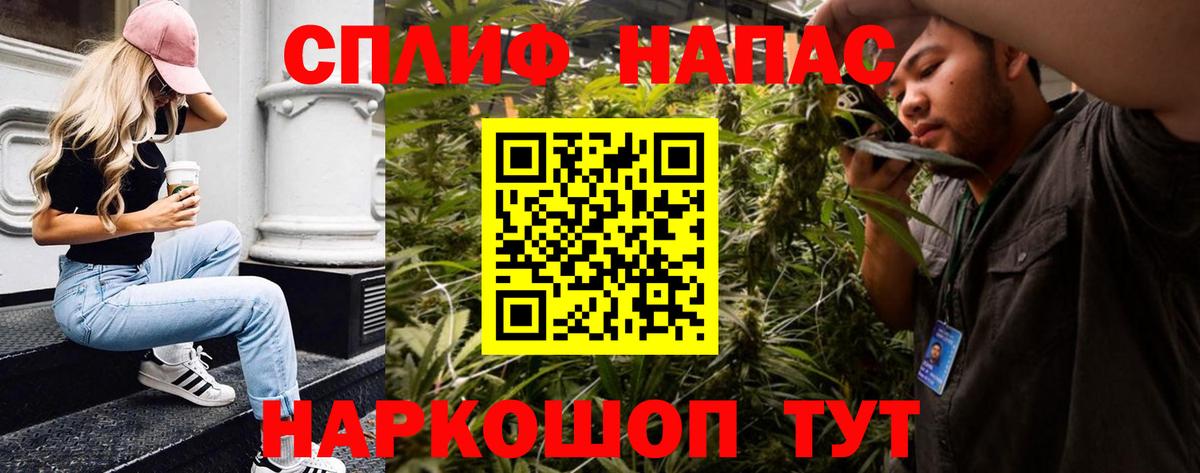 Каннабис сатива Нижнекамск